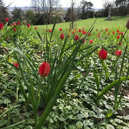 Nyaraló Chateau Logis De Roche Clairac