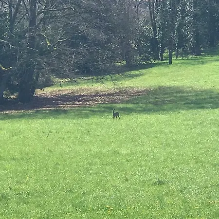 Chateau Logis De Roche Nyaraló *