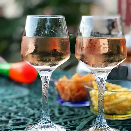 Chateau Logis De Roche Nyaraló *