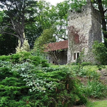 Chateau Logis De Roche * Clairac