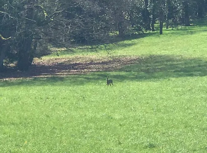 Chateau Logis De Roche Vakantiehuis *