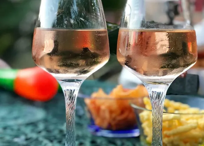 Chateau Logis De Roche Vakantiehuis *