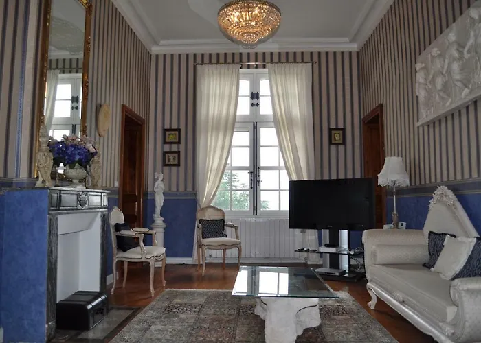 Château Logis De Roche *